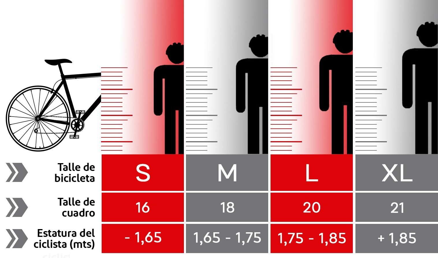 Altura Talla L Bicicleta De Montaña Una Bicicleta De Rodada 24